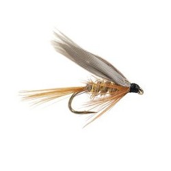Gold Ribbed Hares Ear